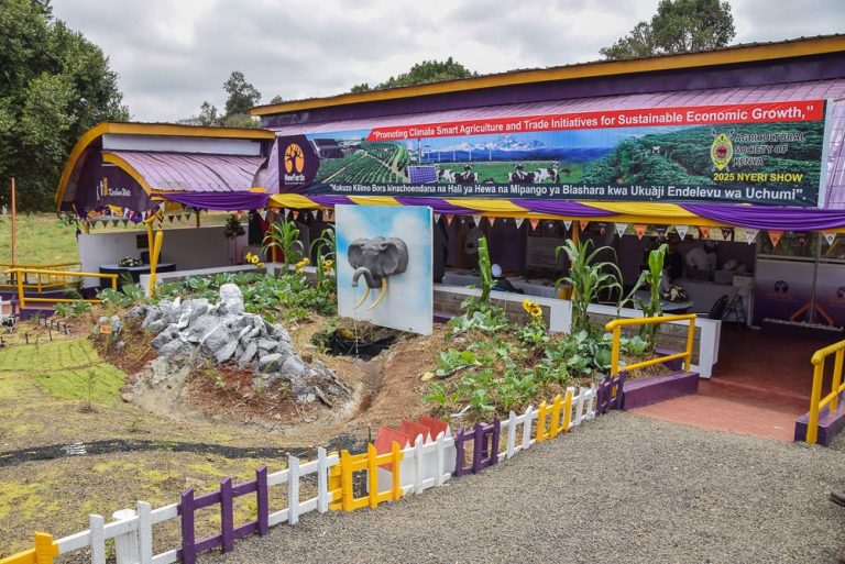 WhatsApp-Image-2025-10-28-at-17.08